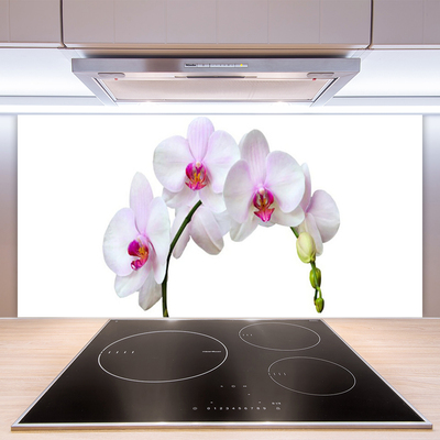 Kitchen Splashback Flowers floral white pink