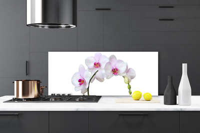 Kitchen Splashback Flowers floral white pink