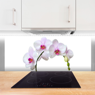 Kitchen Splashback Flowers floral white pink