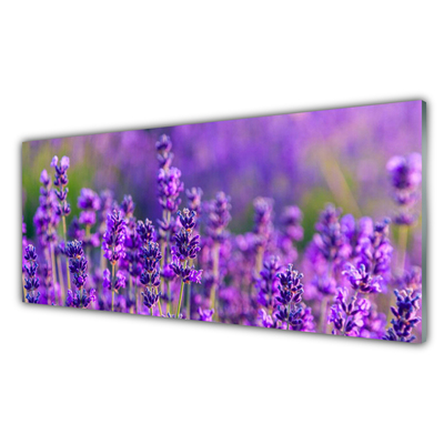 Kitchen Splashback Flowers floral purple