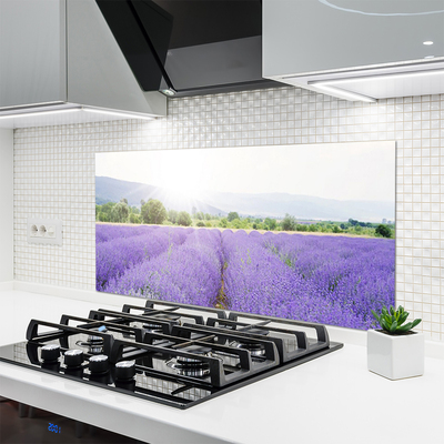 Kitchen Splashback Meadow flowers nature purple