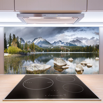 Kitchen Splashback Mountain forest lake landscape grey brown green