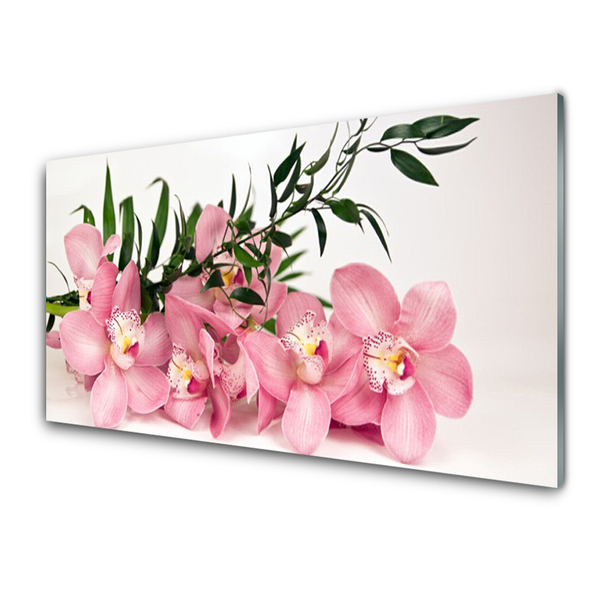 Kitchen Splashback Petals floral pink green