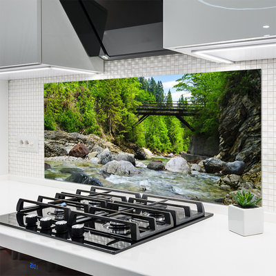 Kitchen Splashback Forest bridge lake stones landscape brown green grey