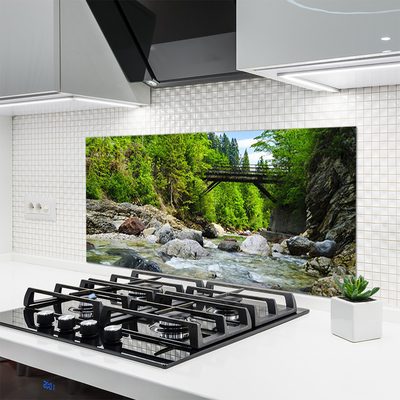 Kitchen Splashback Forest bridge lake stones landscape brown green grey