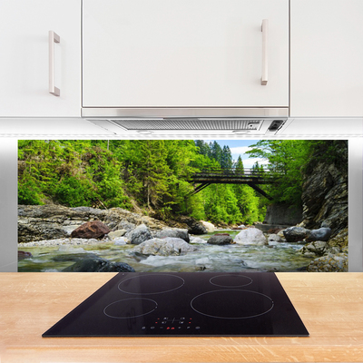 Kitchen Splashback Forest bridge lake stones landscape brown green grey