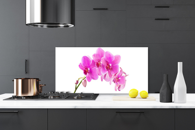 Kitchen Splashback Flowers floral pink