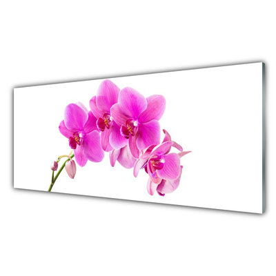 Kitchen Splashback Flowers floral pink