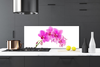 Kitchen Splashback Flowers floral pink