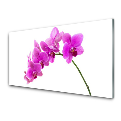 Kitchen Splashback Flowers floral pink