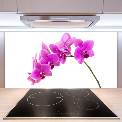 Kitchen Splashback Flowers floral pink