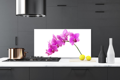 Kitchen Splashback Flowers floral pink