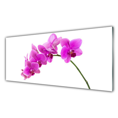 Kitchen Splashback Flowers floral pink