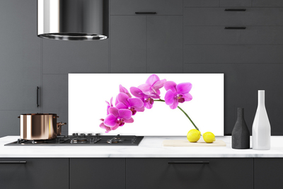 Kitchen Splashback Flowers floral pink