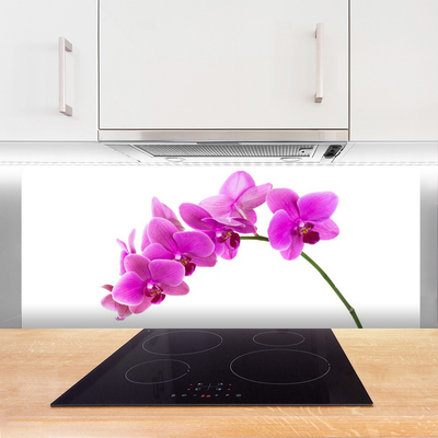 Kitchen Splashback Flowers floral pink