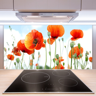 Kitchen Splashback Poppies floral red