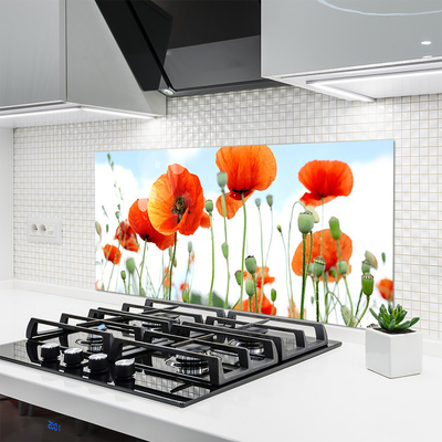 Kitchen Splashback Poppies floral red