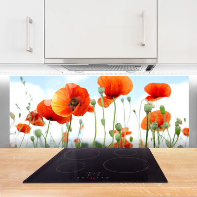 Kitchen Splashback Poppies floral red