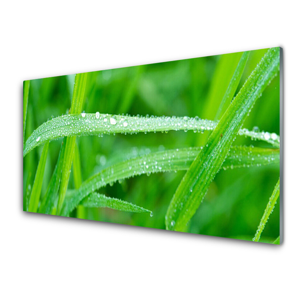 Kitchen Splashback Grass nature green