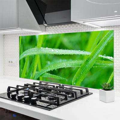 Kitchen Splashback Grass nature green