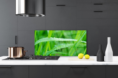 Kitchen Splashback Grass nature green