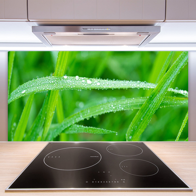 Kitchen Splashback Grass nature green