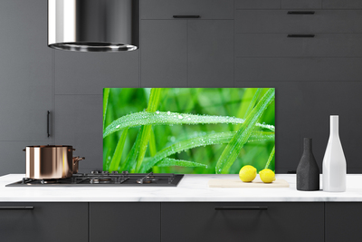 Kitchen Splashback Grass nature green