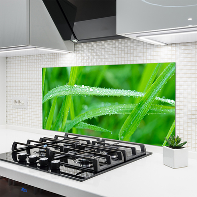 Kitchen Splashback Grass nature green