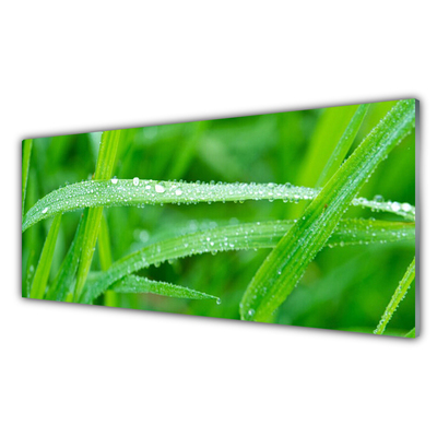 Kitchen Splashback Grass nature green