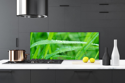 Kitchen Splashback Grass nature green