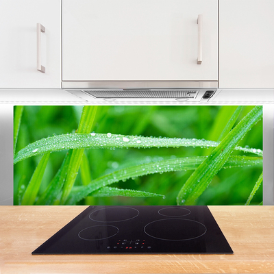 Kitchen Splashback Grass nature green