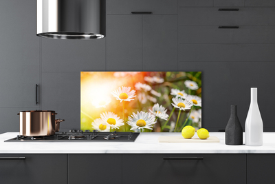 Kitchen Splashback Daisy floral yellow white green