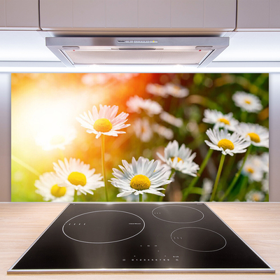 Kitchen Splashback Daisy floral yellow white green