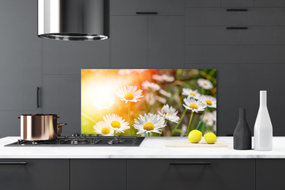 Kitchen Splashback Daisy floral yellow white green