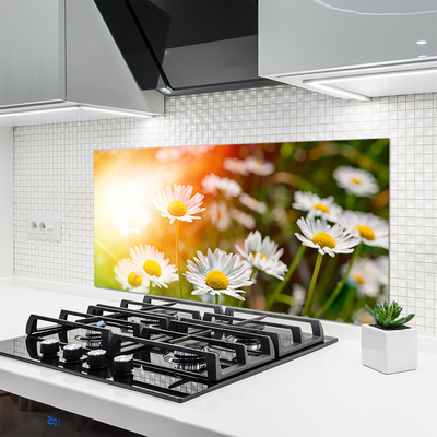 Kitchen Splashback Daisy floral yellow white green