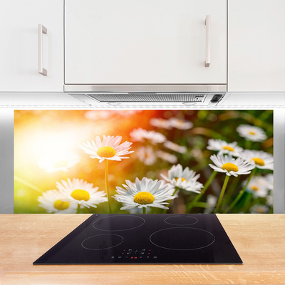 Kitchen Splashback Daisy floral yellow white green