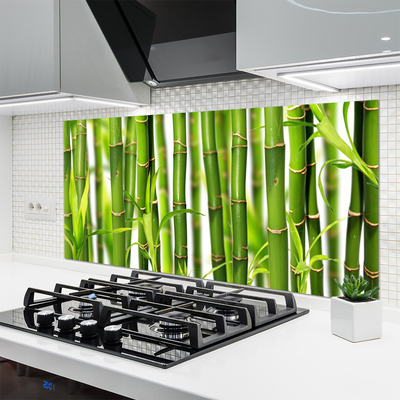 Kitchen Splashback Bamboo stalks floral green