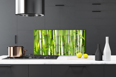 Kitchen Splashback Bamboo stalks floral green