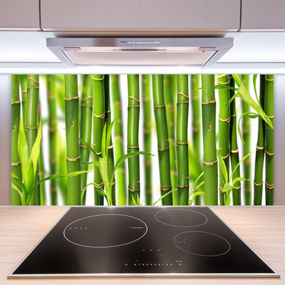 Kitchen Splashback Bamboo stalks floral green