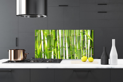 Kitchen Splashback Bamboo stalks floral green