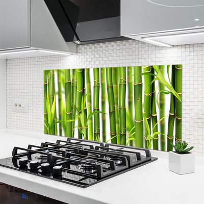 Kitchen Splashback Bamboo stalks floral green