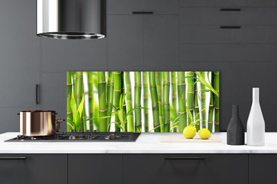 Kitchen Splashback Bamboo stalks floral green