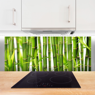 Kitchen Splashback Bamboo stalks floral green