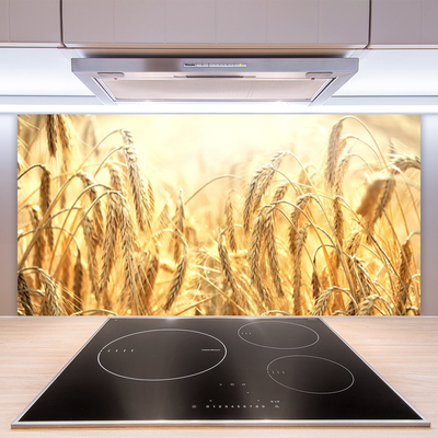 Kitchen Splashback Wheat floral yellow