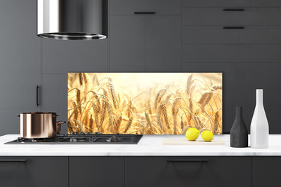 Kitchen Splashback Wheat floral yellow