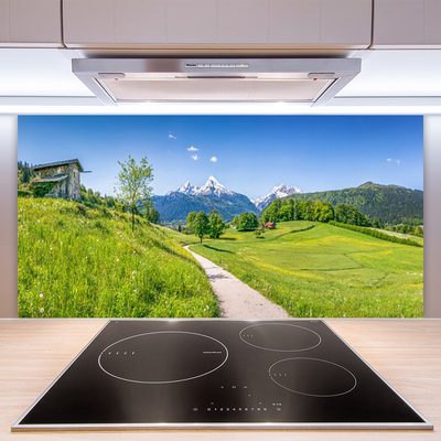 Kitchen Splashback Meadow footpath nature green brown