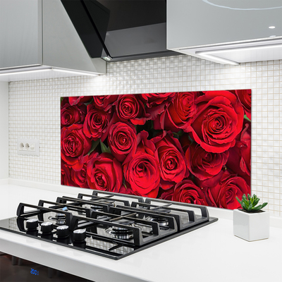 Kitchen Splashback Roses floral red