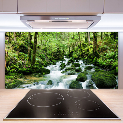 Kitchen Splashback Forest lake stones nature brown green white