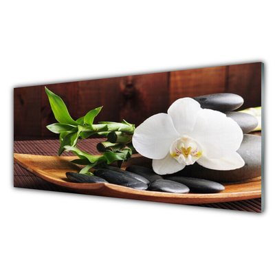 Kitchen Splashback Flower bamboo tube stones art white green black