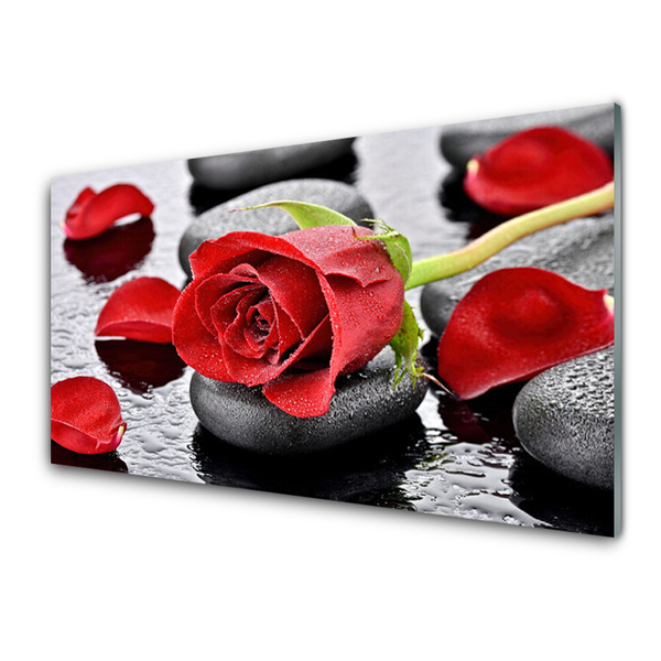 Kitchen Splashback Rose stones floral red grey